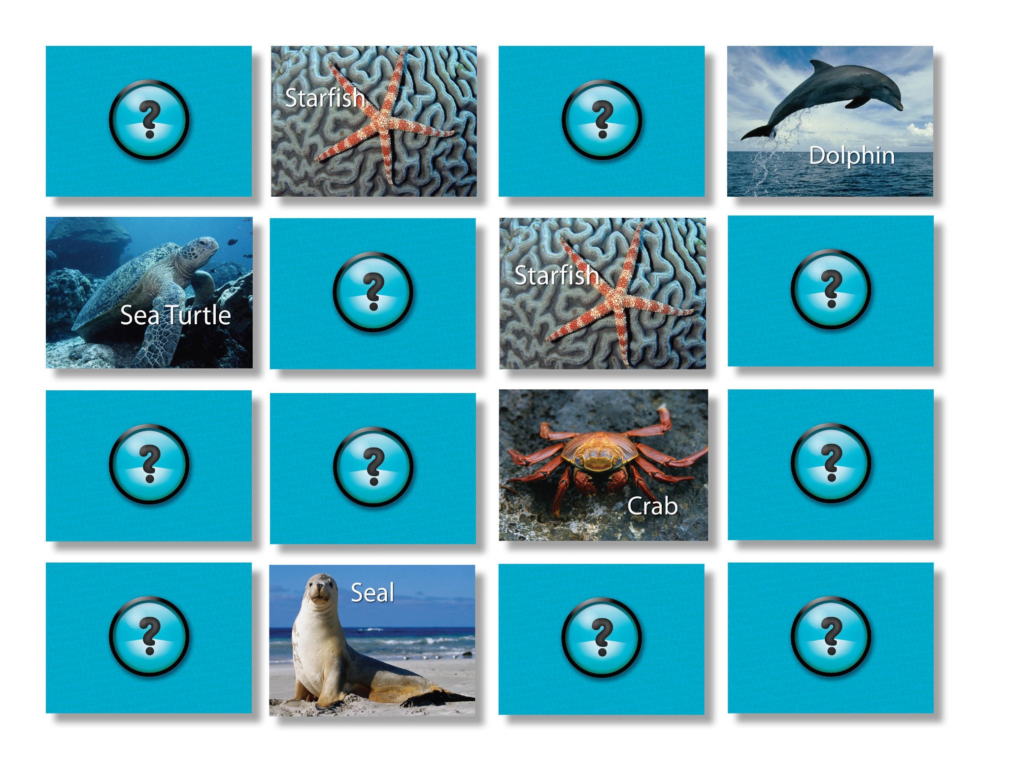 dolphin memory card file